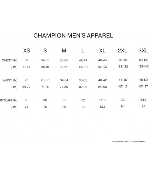 Champion Men's Hoodie, Powerblend, Fleece Men's Hoodie, Comfortable Men's Sweatshirt, Script Logo (Reg. or Big & Tall)